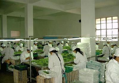 農(nóng)產(chǎn)品加工廠屬于什么行業(yè)?農(nóng)產(chǎn)品加工行業(yè)的創(chuàng)業(yè)機(jī)會與好處一覽